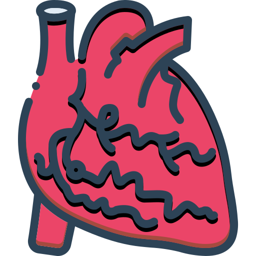 CORONARY ANGIOPLASTY 